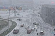 Аномальное тепло подступает к Новосибирску